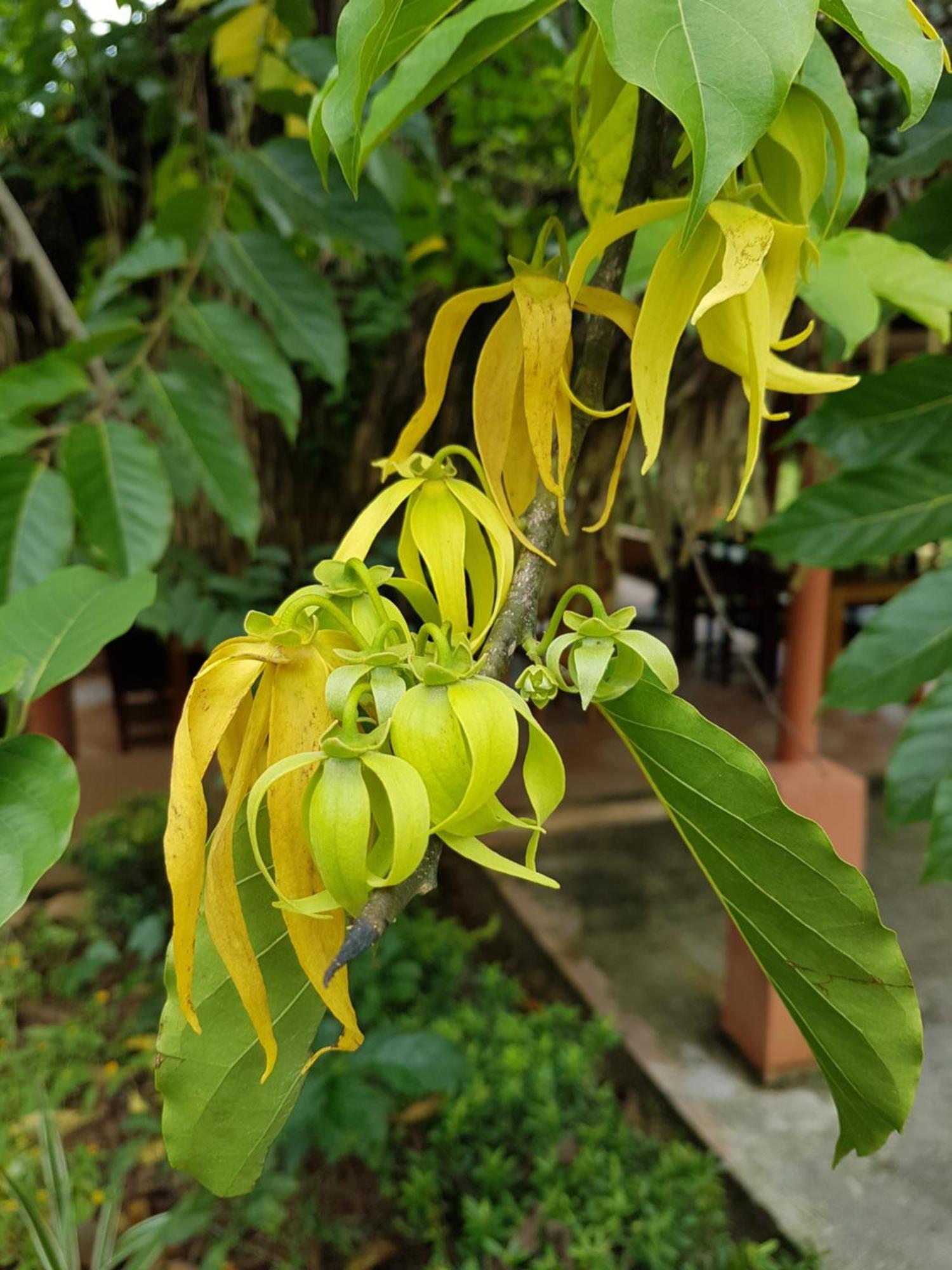 Los Pinos De Torio 외부 사진