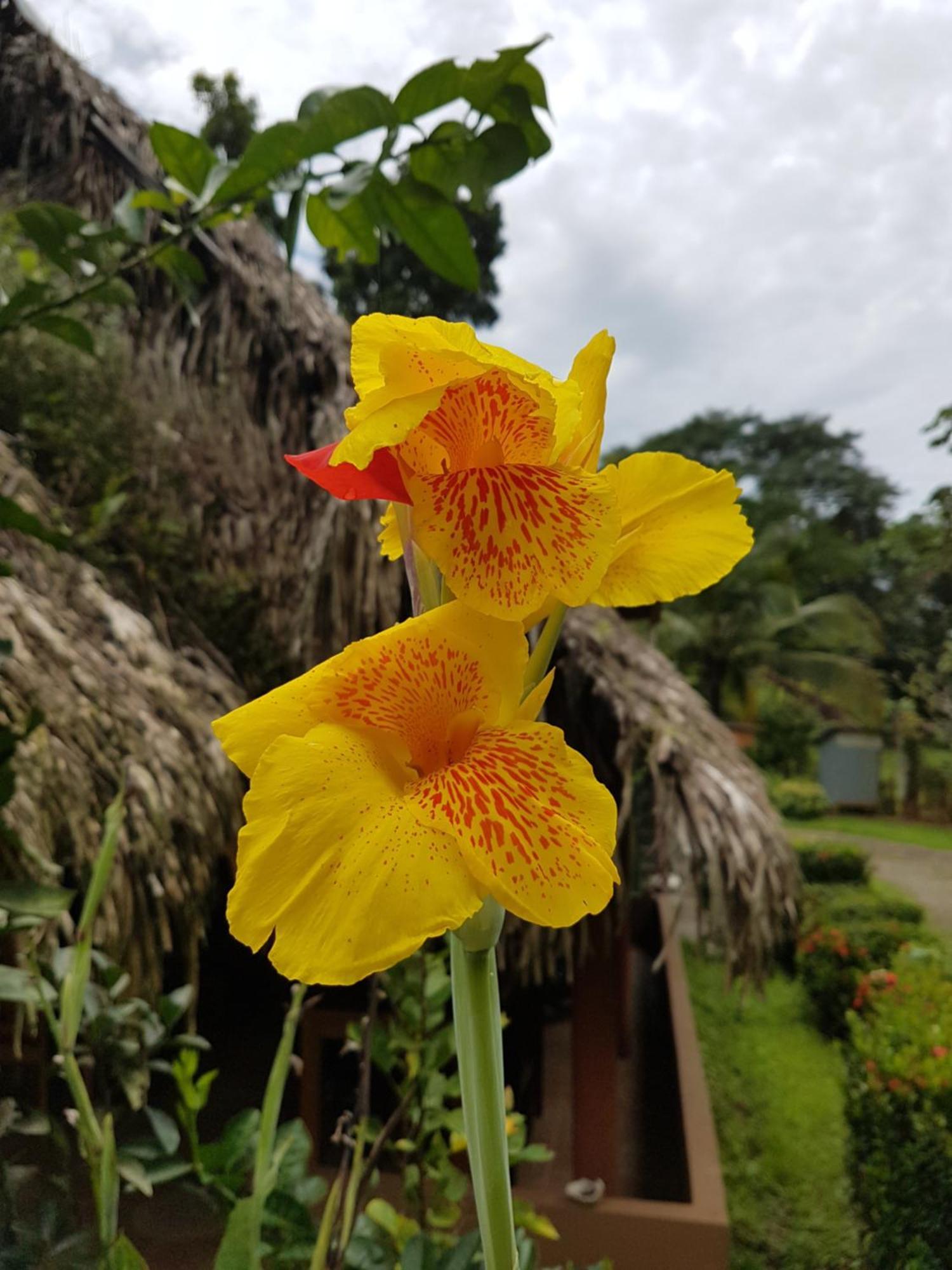 Los Pinos De Torio 외부 사진