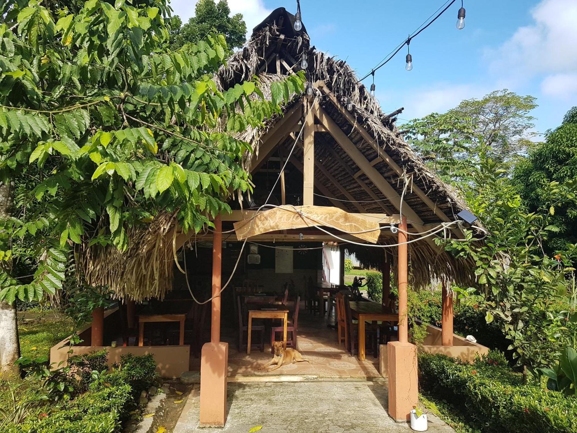 Los Pinos De Torio 외부 사진