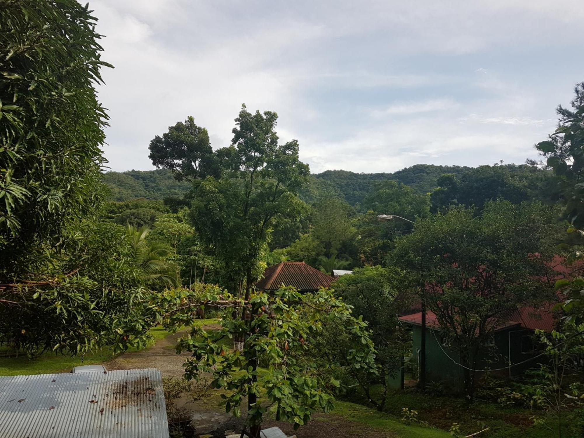 Los Pinos De Torio 외부 사진